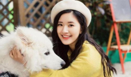 娱乐圈吃瓜兔子是谁啊百度云,揭秘神秘网络红人背后故事